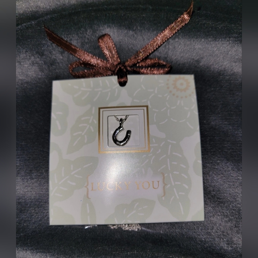 Carded Giftable Lucky You Charm Necklace Silver 18 in Chain Horseshoe
